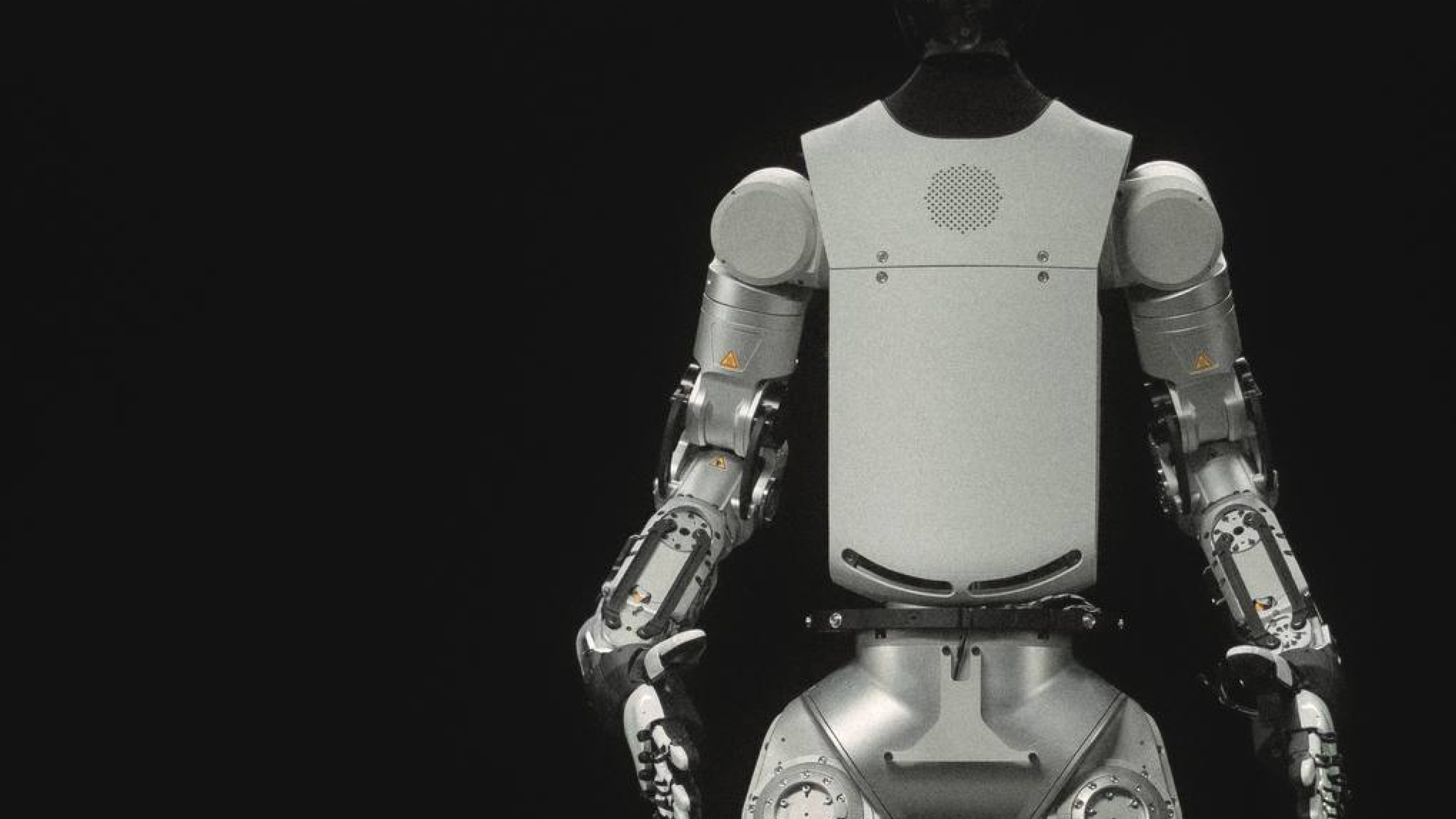 Alpha Bipedal torso and body sensing structure